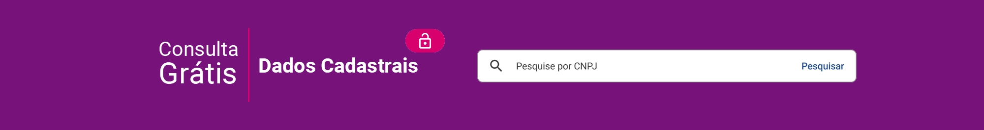 Fundo roxo com o campo de busca de pesquise por CNPJ ao lado dos dizeres Consulta Grátis, Dados Cadastrais.